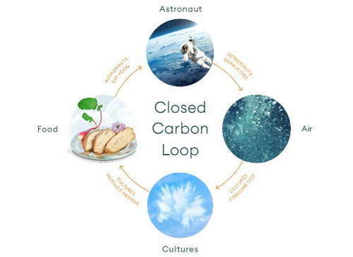 空氣造肉 生物技術(shù)顛覆食品科技，人類飲食革命或?qū)㈤_啟